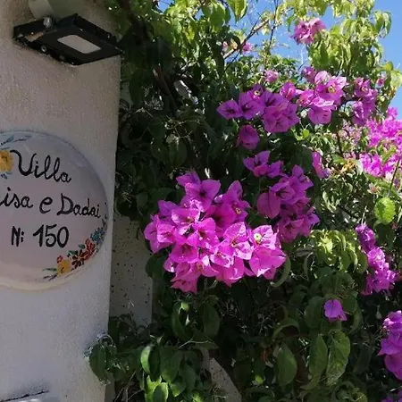 Gisa E Daday * Paestum