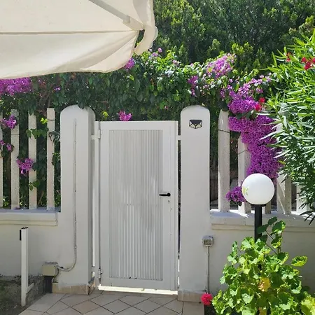 Gisa E Daday Paestum