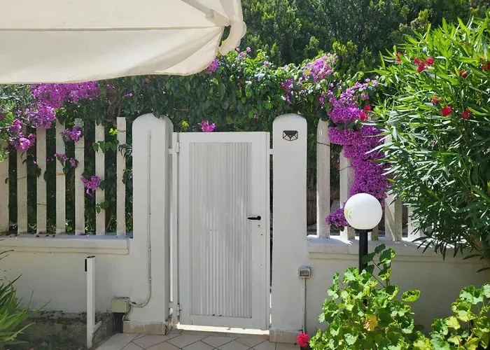 Gisa E Daday Paestum